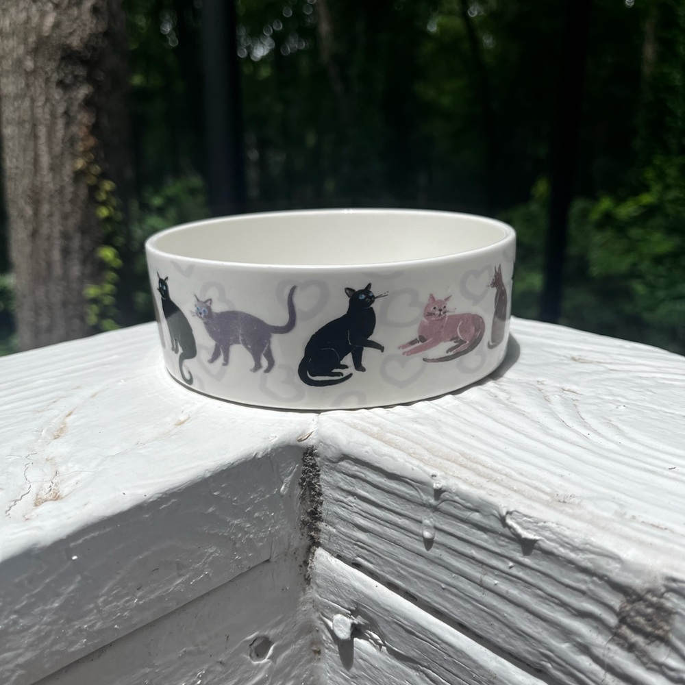 Fringe Kitty Cat Food / Dish Water Bowl